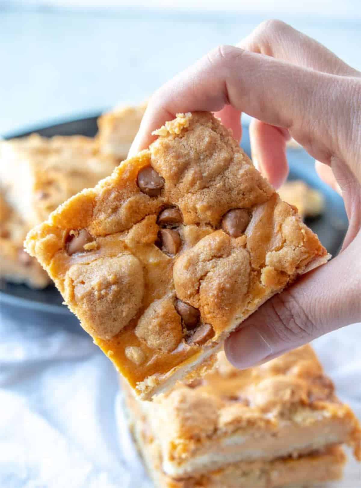 Pumpkin cheesecake bars.