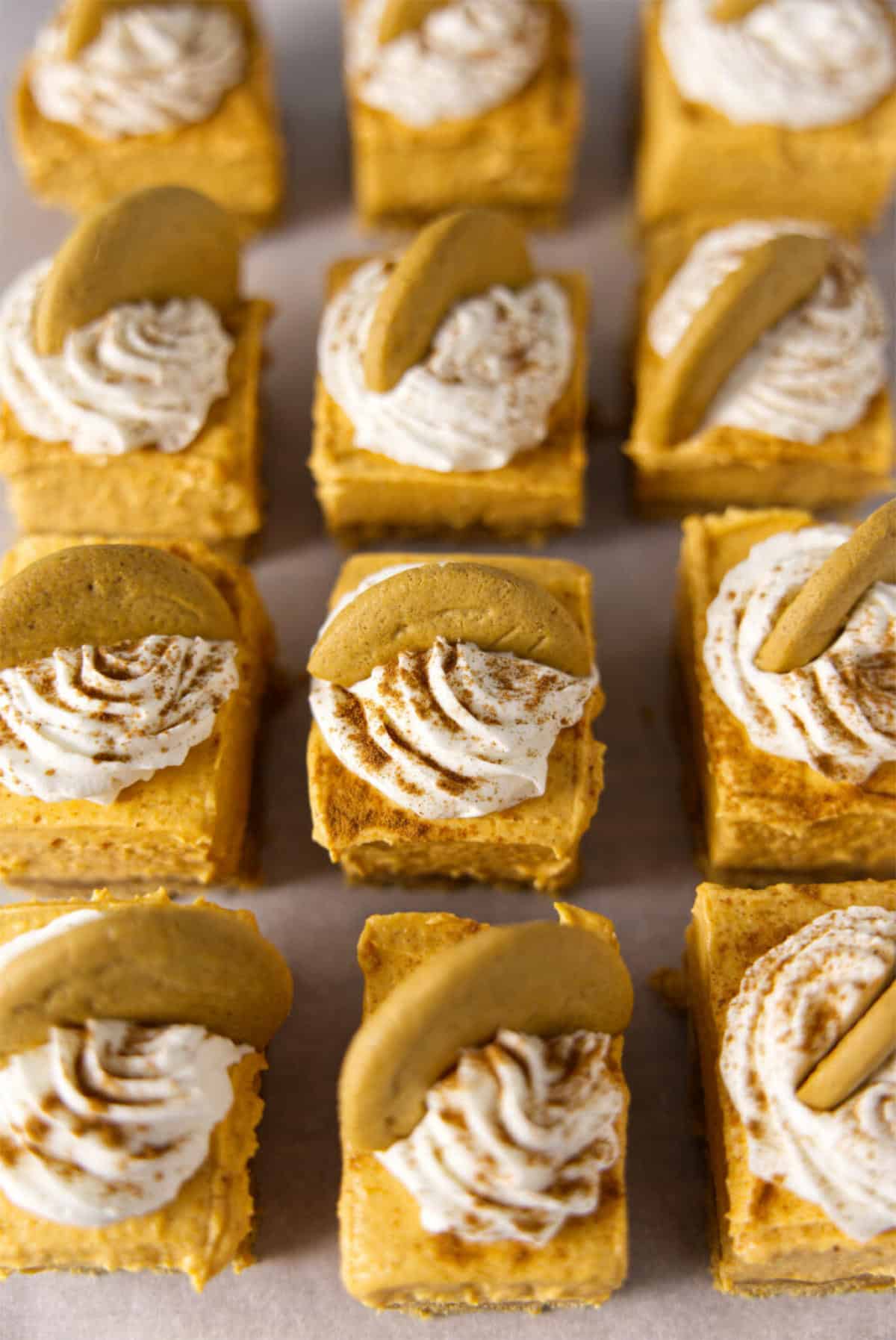 no bake pumpkin cheesecake bars, Best Pumpkin Recipes.