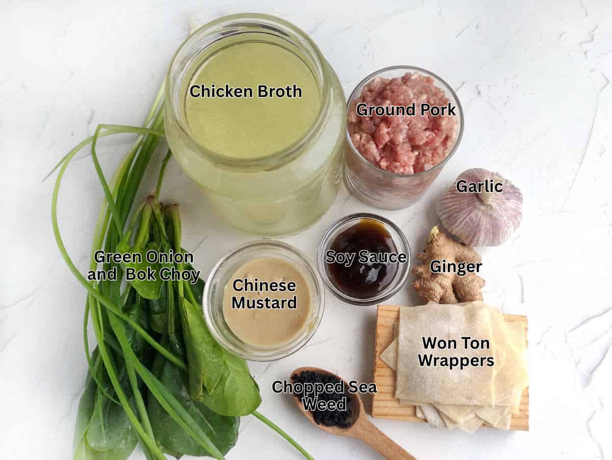 Ingredients for subgum wonton soup laid out on a white surface, including chicken broth, ground pork, garlic, ginger, green onion and bok choy, Chinese mustard, soy sauce, won ton wrappers, and chopped seaweed.