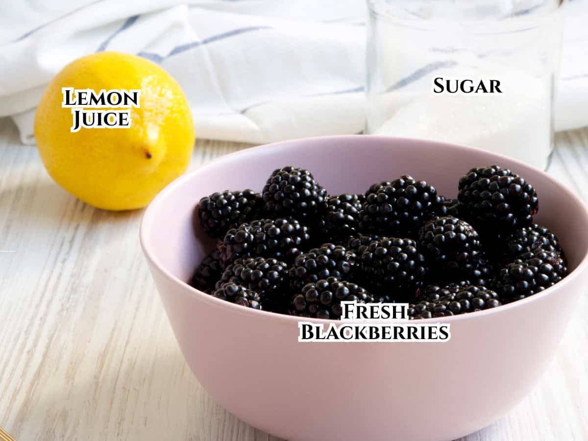 A pink bowl filled with fresh blackberries sits on a white surface. Beside it are a whole lemon labeled "lemon juice" and a glass jar labeled "sugar." A white cloth is in the background.