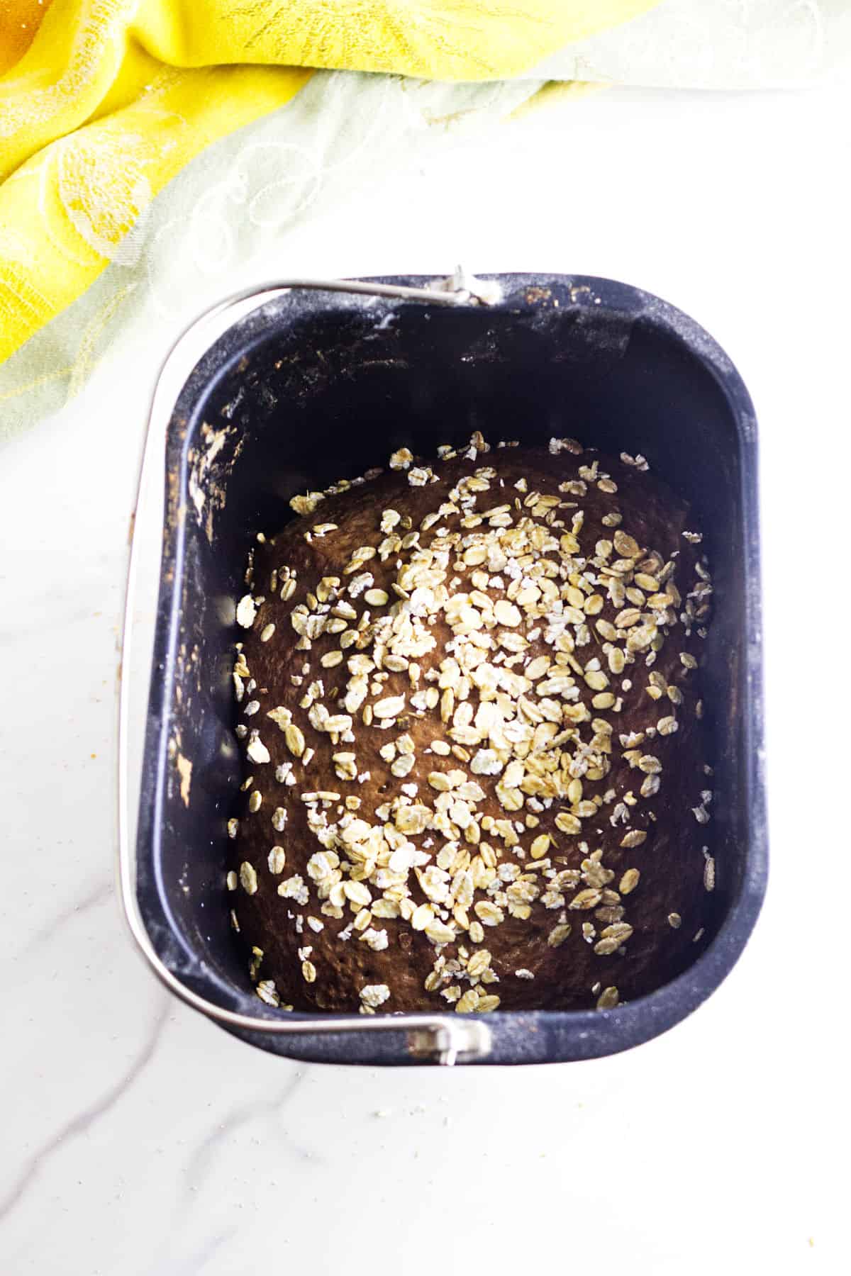 Bread loaf topped with oats before baking cycle.