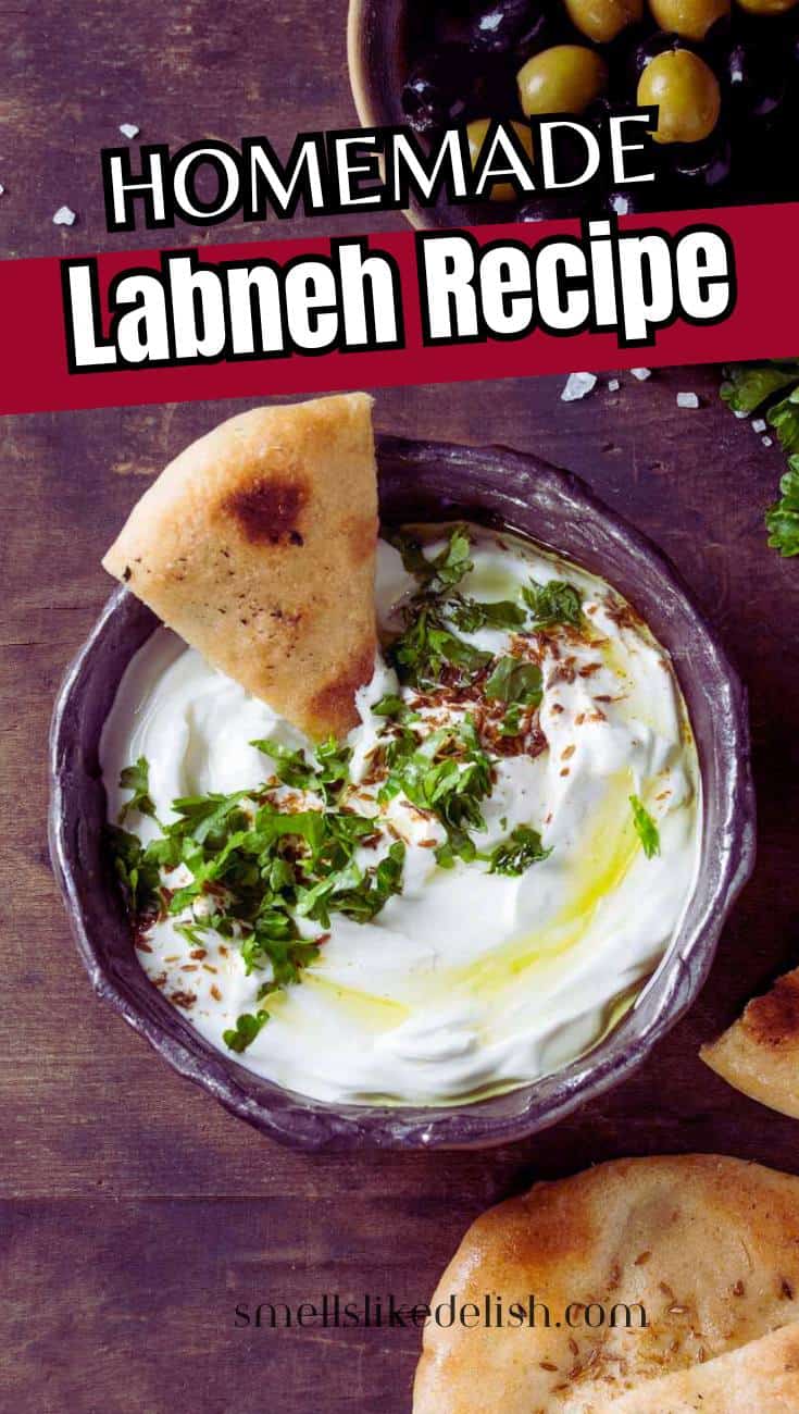 A bowl of creamy labneh topped with olive oil, chopped herbs, and spices, served with pieces of pita bread on a wooden surface. Text reads "Homemade Labneh Recipe.