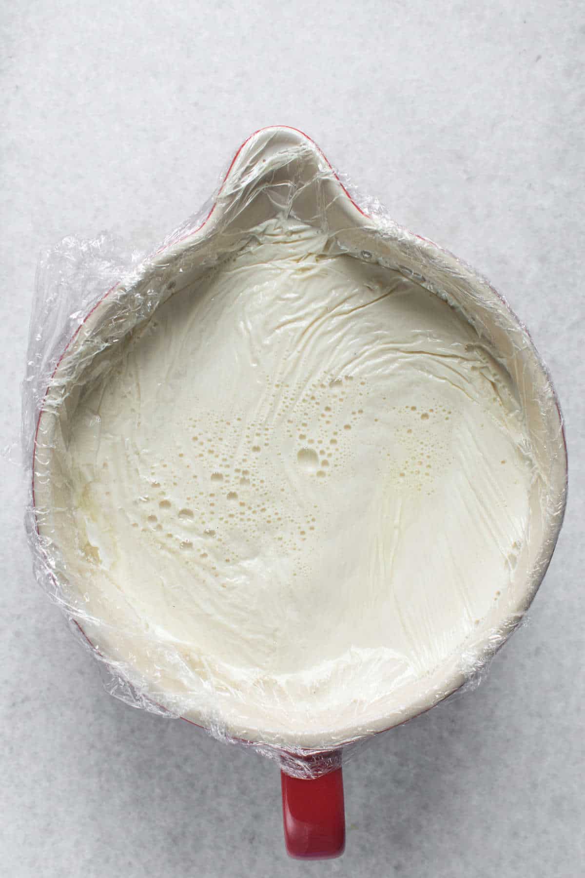 Plain homemade yogurt before straining for Greek yogurt.