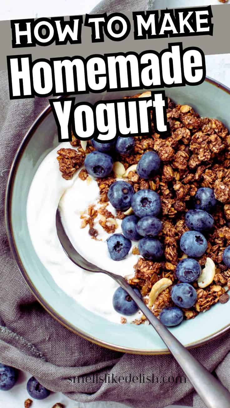 A glass of homemade yogurt topped with granola and chocolate chips on a table with a spoon, with the text