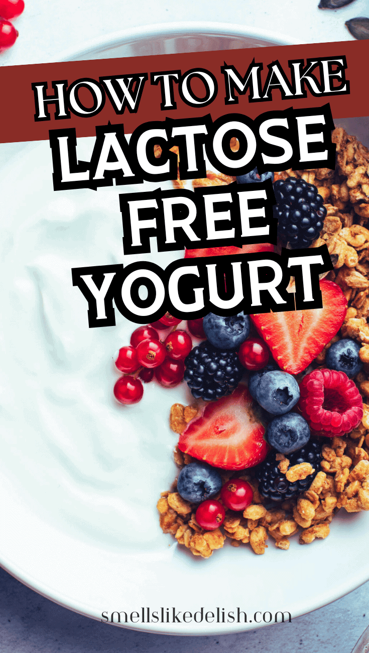 A bowl of yogurt topped with granola and fresh berries, including raspberries, blueberries, blackberries, and red currants. Text on the image reads: "How to Make Lactose Free Yogurt.