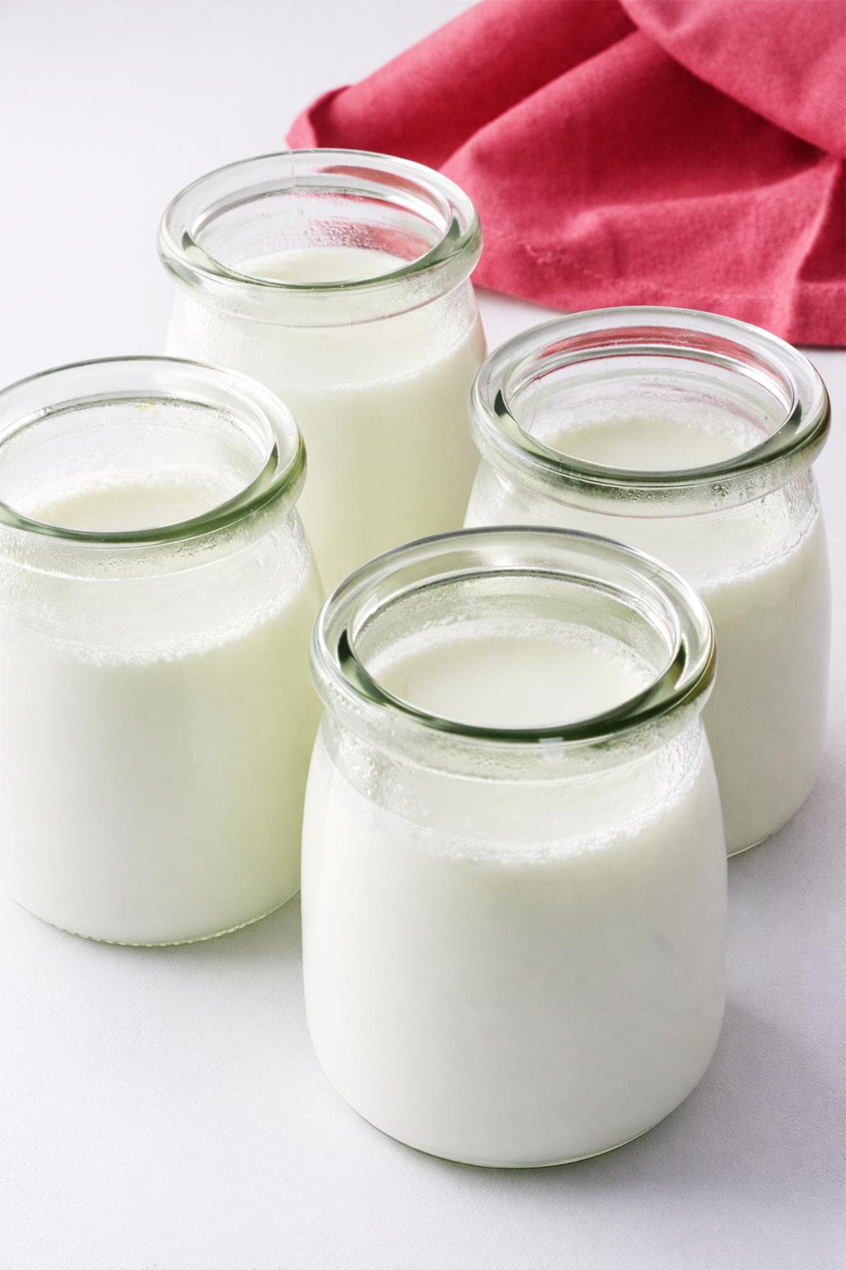 Four small glass jars filled with cultured lactose free yogurt on the counter.