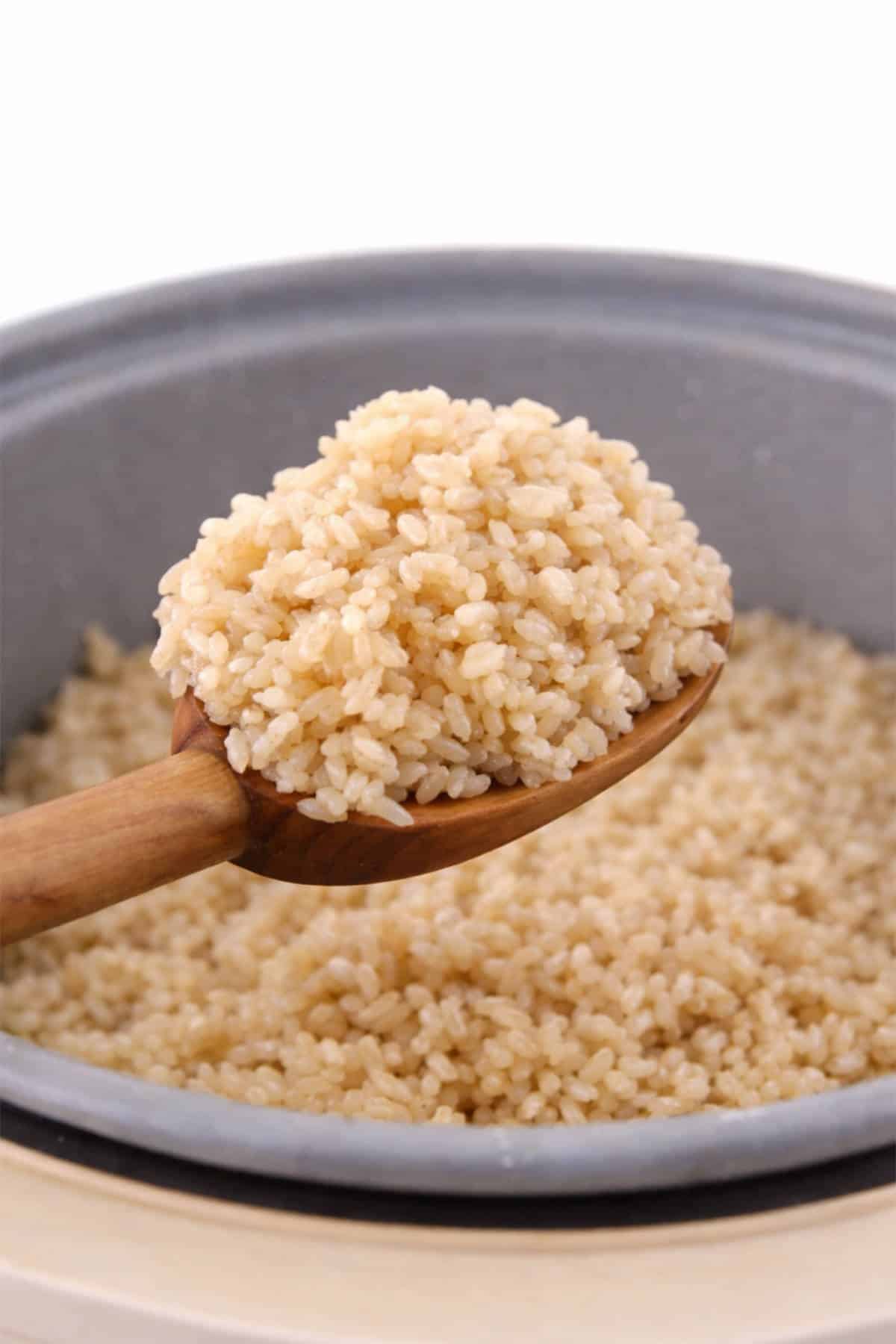 Wooden spoon holding cooked brown rice.