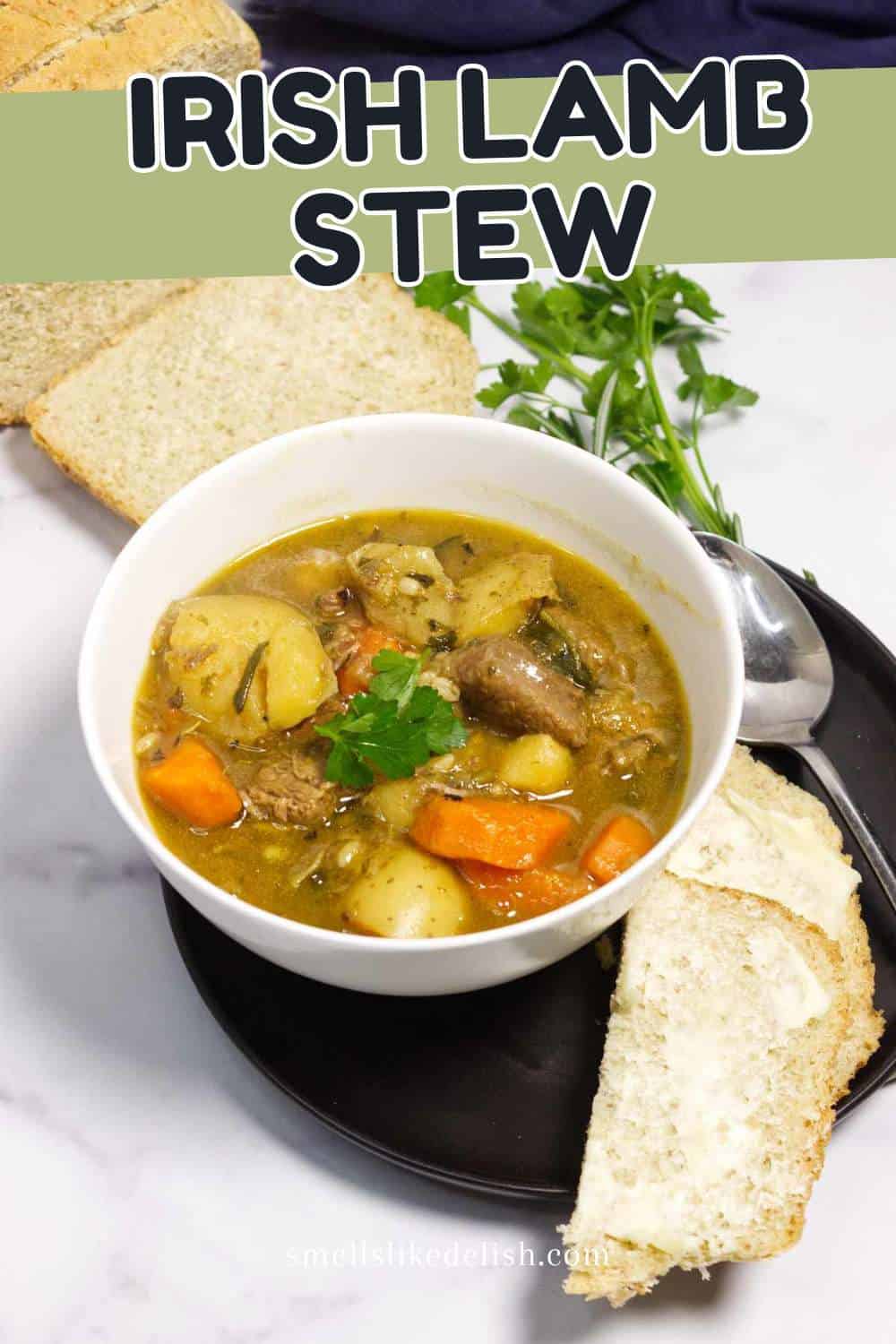 Irish lamb stew in a bowl with lamb, potatoes, carrots, and parsnips.