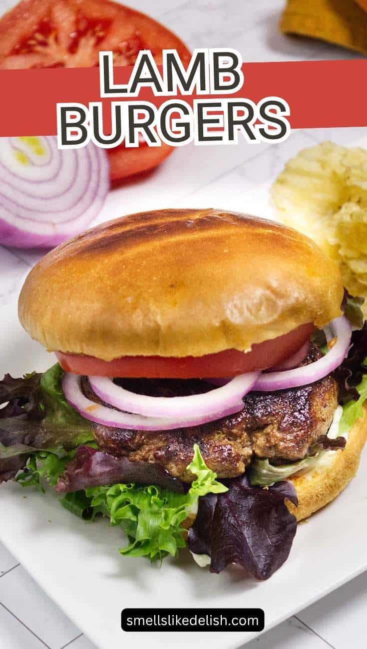Lamb burger pin image with lettuce, tomato, onion, and potato chips.