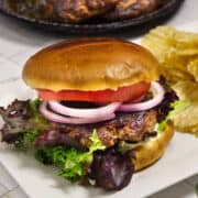 Lamb burger pin image with lettuce, tomato, onion, and potato chips.