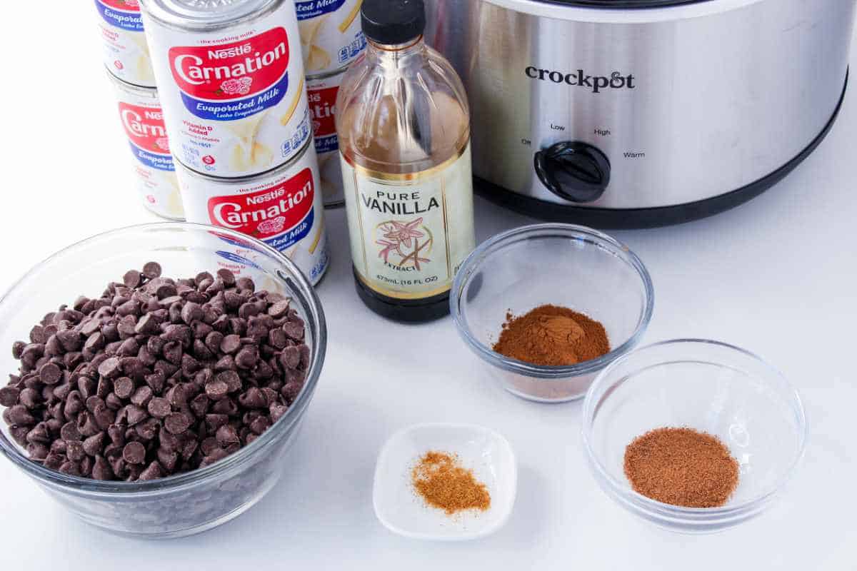 Ingredients for Mexican hot chocolate with evaporated milk, chocolate chips, cinnamon, nutmeg, cayenne, vanilla, and a Crock-Pot slow cooker.