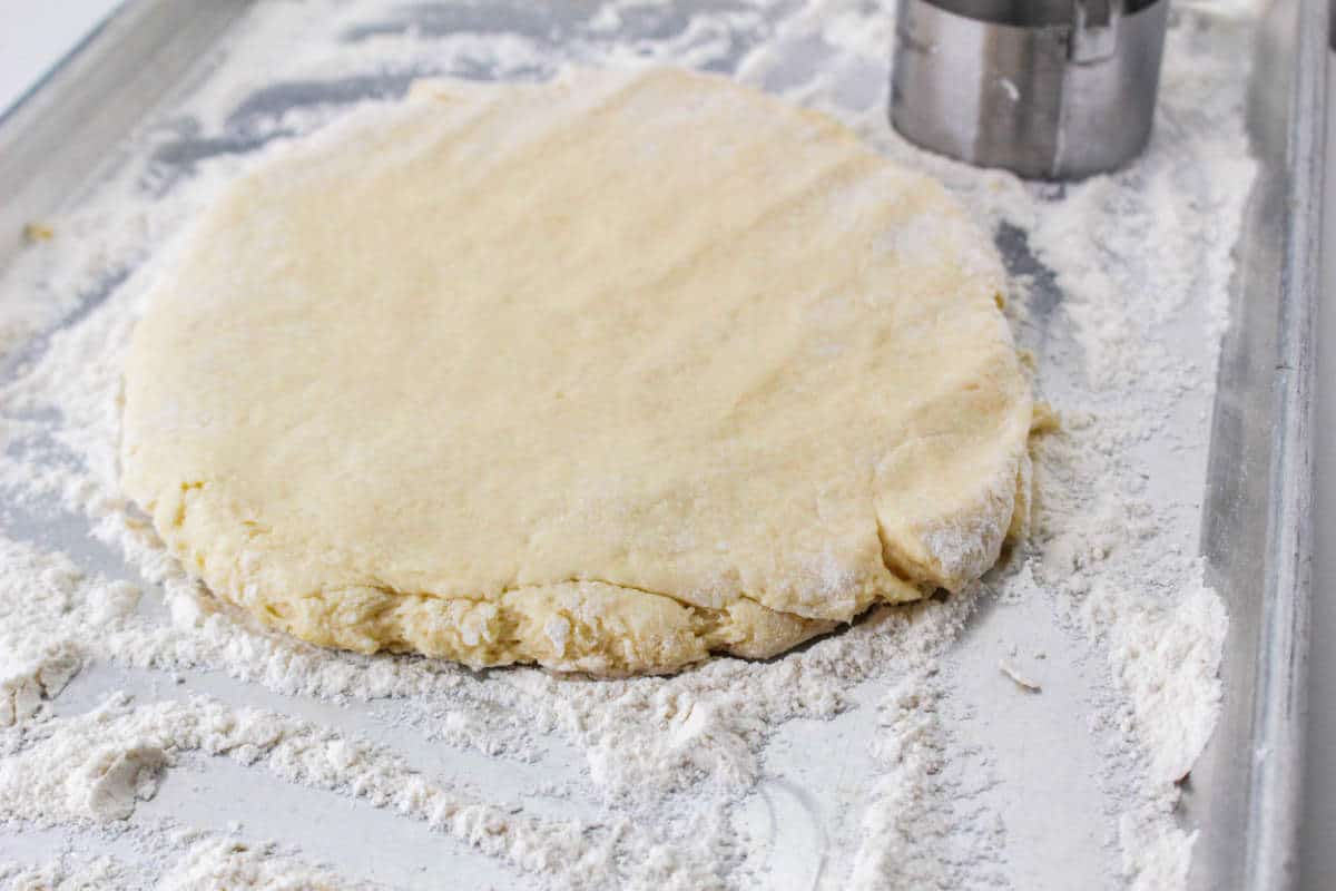 Biscuit dough rests on a floured baking sheet, with a metal biscuit cutter next to it.
