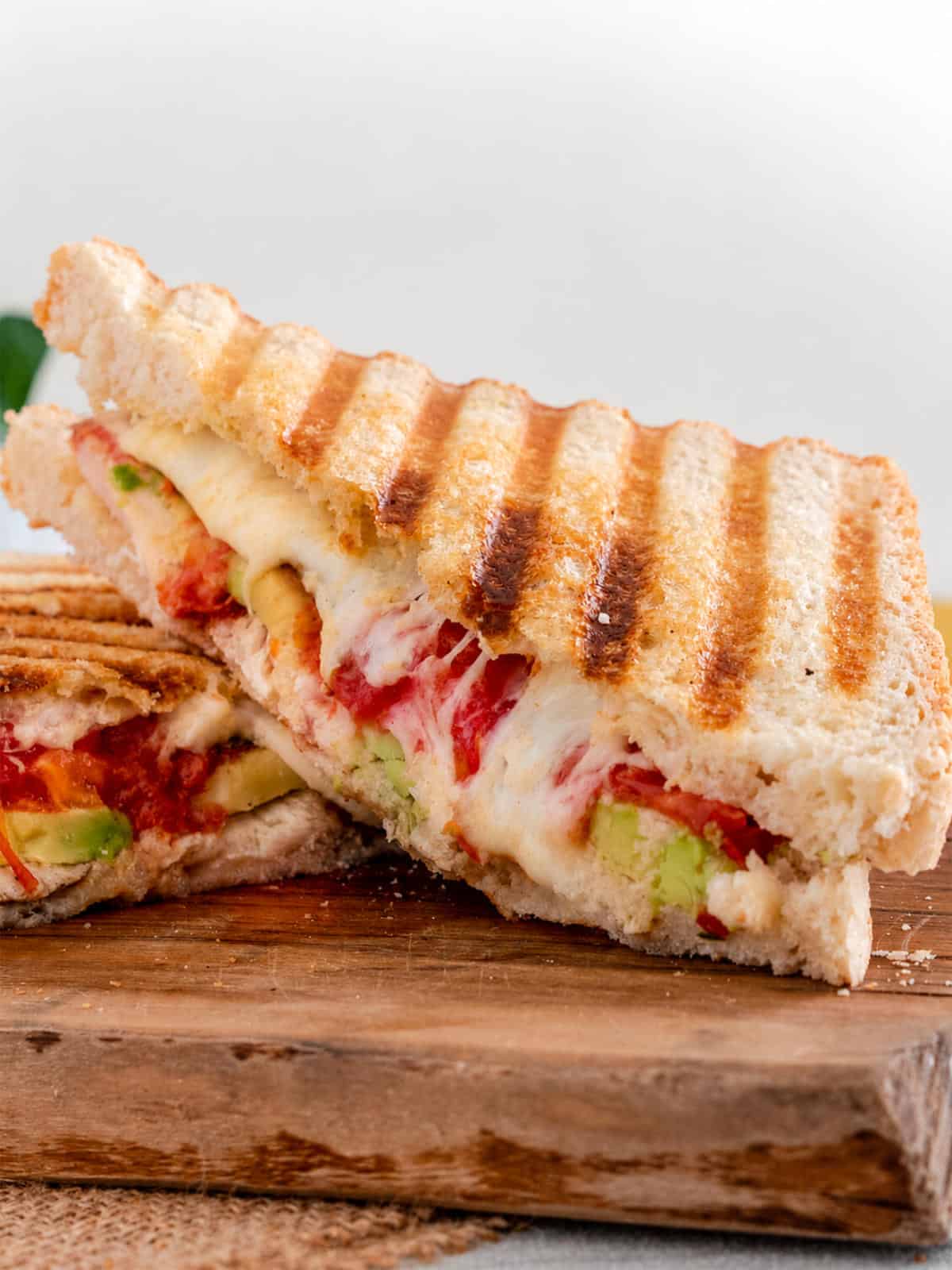 Panera Chipotle Chicken Avocado Melt sandwich halves with melted Gouda, avocado, chicken, and sweet red peppers on toasted bread.