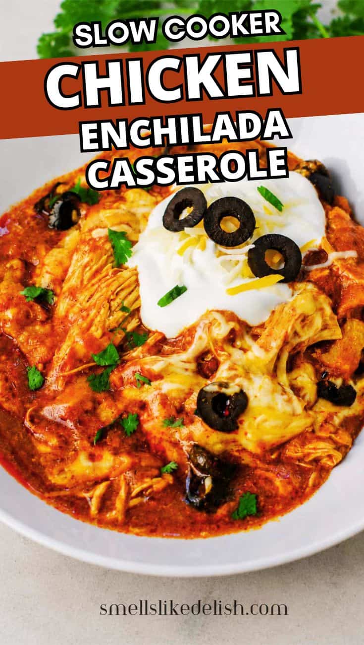 Chicken enchilada casserole with melted cheese, olives, sour cream, and green onions, served in red sauce on a white plate.
