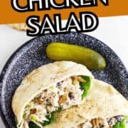 Pita bread filled with cranberry pecan chicken salad on lettuce, served with a pickle spear and extra pita on the side.