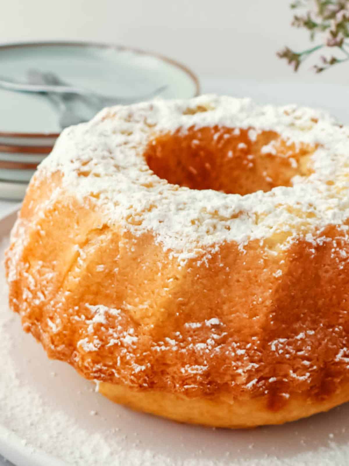 Golden-brown bundt cake with powdered sugar on a white plate; stacked plates and a plant are blurred in the background.
