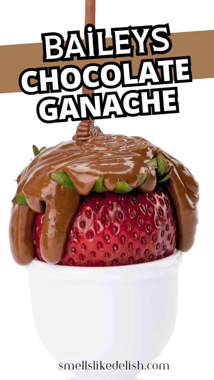 A strawberry dipped in Baileys chocolate ganache with chocolate dripping over it, on a white background.