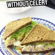 Chicken salad sandwich with lettuce on brown bread, halved on a decorative plate. “Chicken Salad Without Celery” at top; website name at bottom.