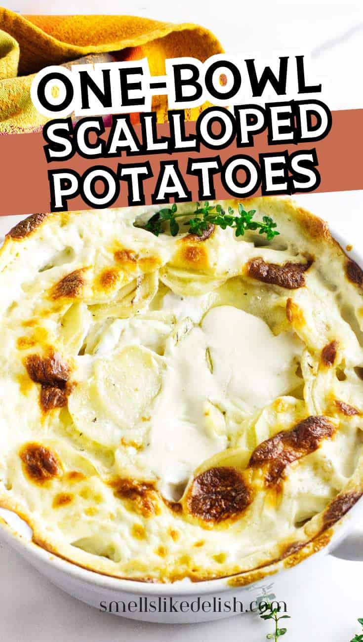 Creamy scalloped potatoes baked with a golden top, garnished with thyme. Text overlay: