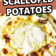 Creamy scalloped potatoes with a golden top in a white casserole, text “One-Bowl Scalloped Potatoes,” and a yellow towel in the background.