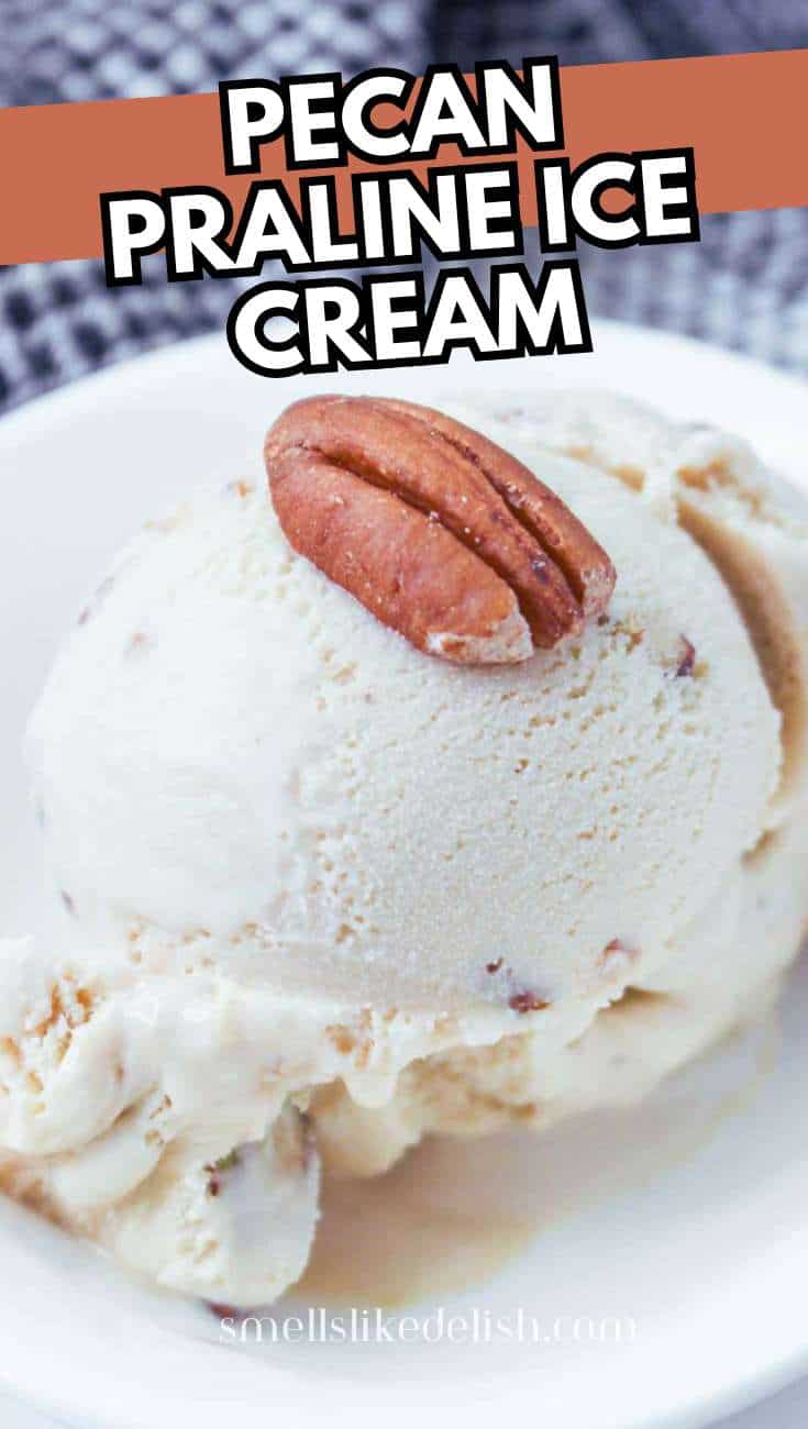 Pecan praline ice cream with a pecan half on top in a white bowl,