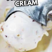 A metal scoop with pecan praline ice cream and nut pieces against a blurred pale background. Text: “Pecan Praline Ice Cream” and “smellslikedelish.com.”.