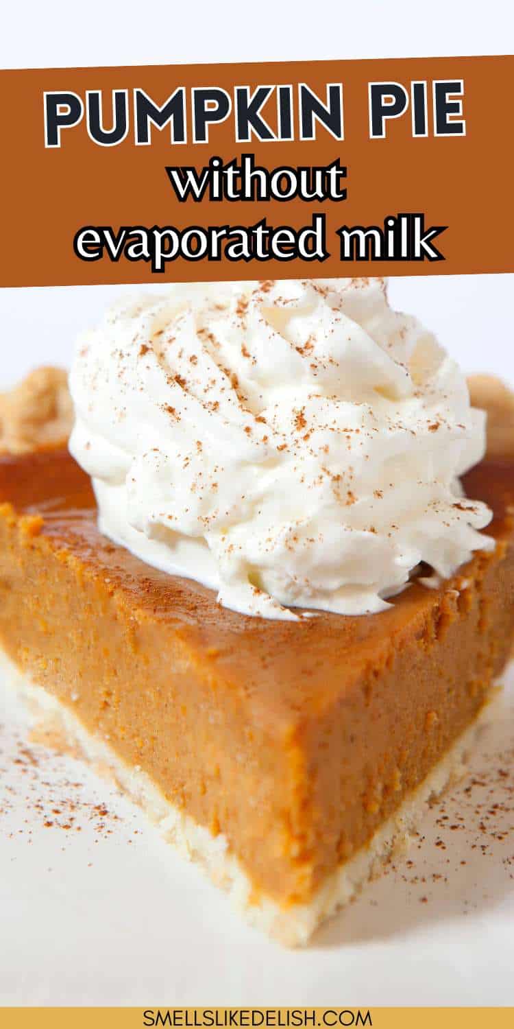 Pumpkin pie slice with whipped cream and cinnamon,